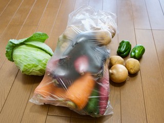 袋詰めされた様々な野菜