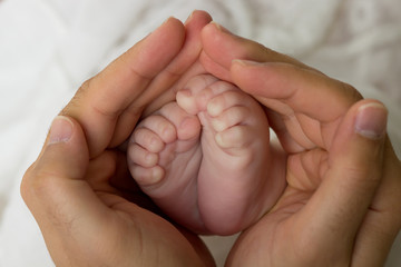 Three-month baby photo shoot