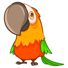 Funny fat orange parrot with a large beak