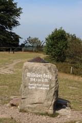 Auf dem Wilseder Berg in der Lüneburger Heide