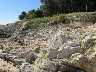 Fototapeta na wymiar Steine Felsen an der Küste Istriens Kroatien