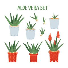 Aloe Vera Set. Cultivated for agricultural, medicinal, cosmetics uses. The element of interior decoration. Potted plants isolated on white. Vector illustration in hand drawn style