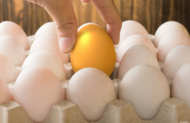 invest in gold egg , concept risk investment in trading asset	