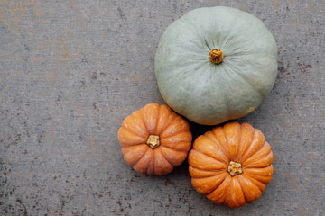 Colorful autumn pumpkins on neutral grey background. Copy space for text. Halloween or Thanksgiving holiday food preparations