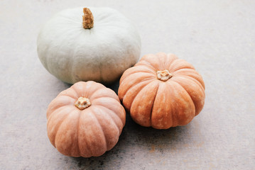 Autumn holiday background with pumpkins. Space for text. Thanksgiving, Halloween. Healthy seasonal food