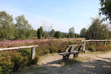 Bank am Wanderweg mit Blick in die Lüneburger Heide