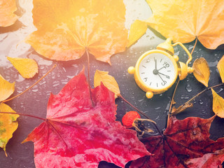 retro yellow clock and yellow autumn leaves on a black background, concept, fall, falling, as the substrate, flat lay