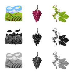 Vector illustration of farm and vineyard sign. Collection of farm and product stock symbol for web.