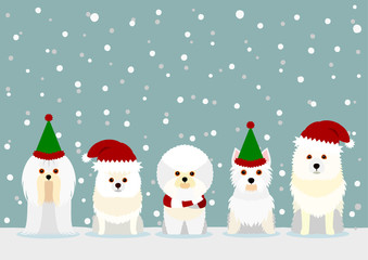white small dogs with Santa Claus hat