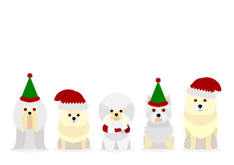white small dogs with Santa Claus hat
