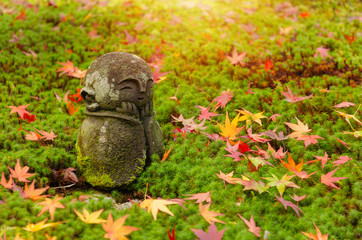 Obraz premium traditional smiling little stone or Jizo buddha monk statue with colorful red maple leaves on green grass ground in Japanese garden with during sunrise , autumn season at Enkoji temple in Kyoto, Japan