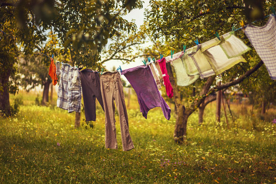 hanging laundry - color clothes hanging on a clothesline, between apple trees in the rural garden © Roman