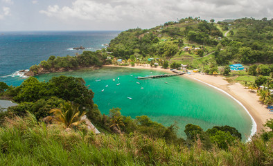 Fototapeta premium caribbean beach