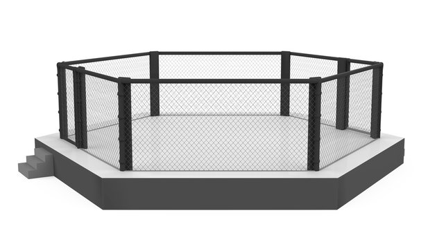 MMA Fight Cage Arena Isolated