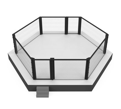 MMA Fight Cage Arena Isolated