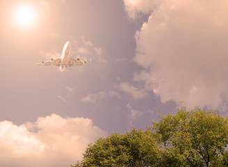 Airliner in the sky above the green leaves. Sunset.