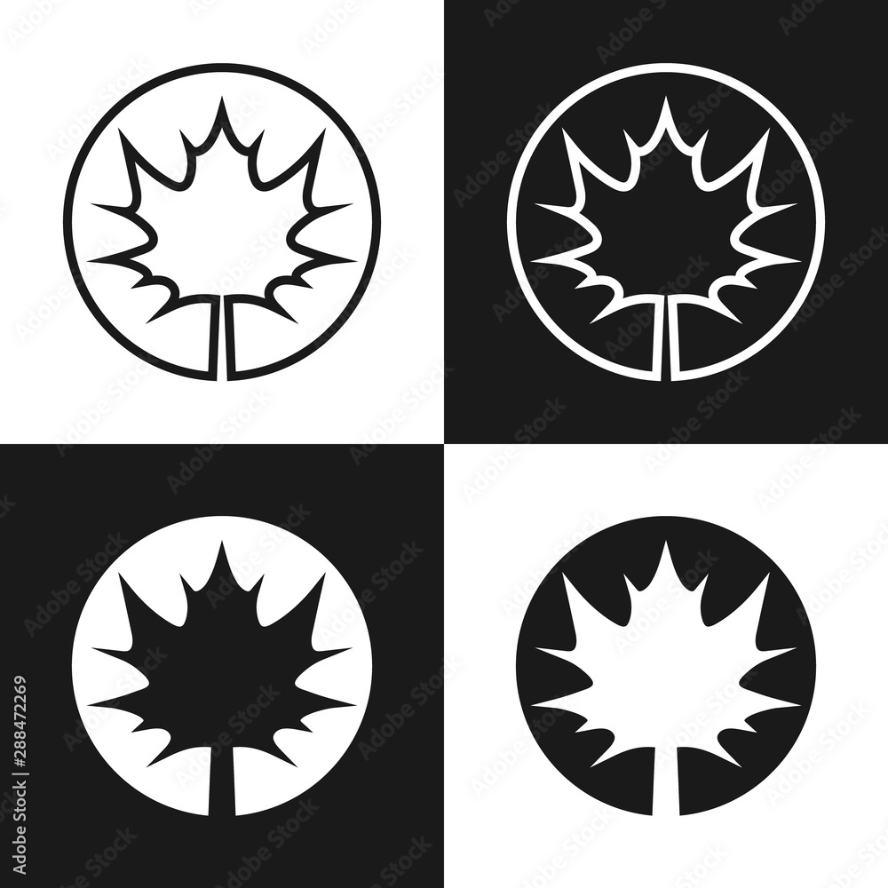 Poster set of four simple linear, and flooded with color maple leaf icons. in black and white variation.