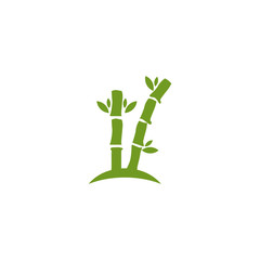 Bamboo tree logo design vector template