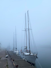 Obraz premium sailing ship in harbor