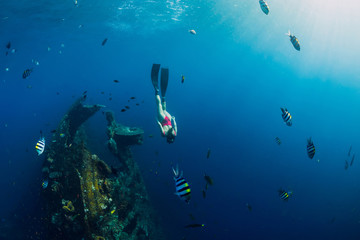 Fototapeta na wymiar Girl freediver swimming with fins at Liberty wreck ship. Freediving in ocean