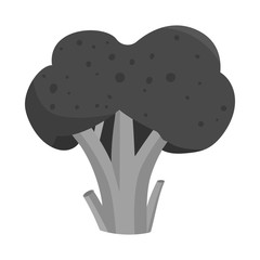 Vector illustration of broccoli and vegetables symbol. Collection of broccoli and food vector icon for stock.