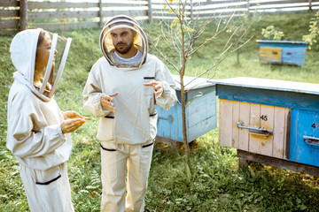 Two young beekepers in protective uniform working on a small apiary farm with wooden beehives on the background
