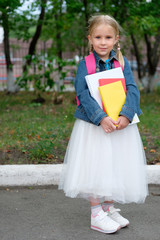 Portrait of a little girl going to school