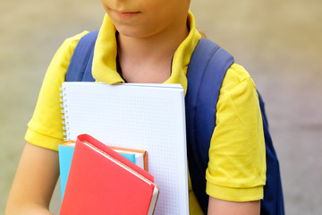 Books and notebooks in the hands of a child