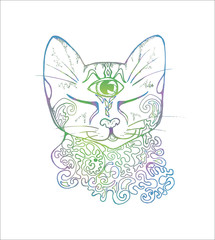 An illustration of a psychedelic cat. Color drawing of a cat.