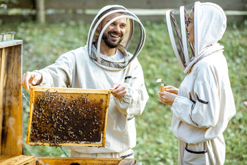 Fototapeta Two young beekepers in protective uniform working on a small apiary farm, getting honeycomb from the wooden beehive obraz