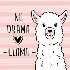 Postcard with a cute llama and lettering no drama llama, print for t-shirt, poster, banner, fashionable vector illustration.
