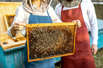 Beekeepers working on the apiary, getting honeycomb frames from the wooden beehives, close-up view