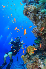 Fototapeta na wymiar Diving the Red Sea, Egypt