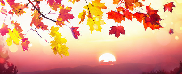 Naklejka na ściany i meble Autumn Leaves Fall At Sunset