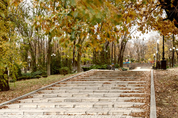 Alley with steps in the autumn park.