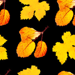 A seamless vibrant autumn leaves pattern on a black background, a fall repeat print