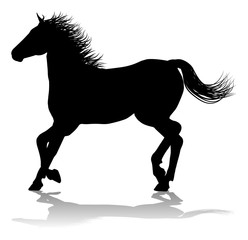 A horse animal detailed silhouette graphic