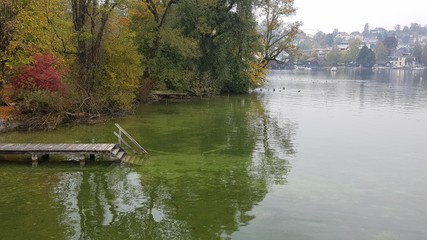 natural pool in green