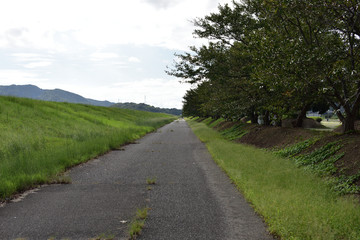 Fototapeta na wymiar 日本の岡山県笠岡市の公園の道路