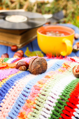 Yellow ceramic cup of herbal tea and vintage vinyl records on aged wooden background with fall autumn leaves and chestnuts.