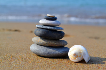 Zen stones with white shell on the seashore
