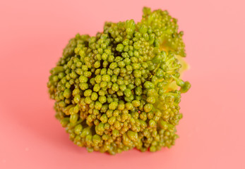 Broccoli cabbage on a pink background
