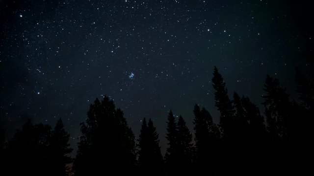 Night timelapse with sky full of stars and northern lights above forest
