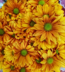 bouquet of orange flowers