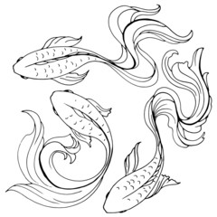 Obraz premium set of drawings pencil stylized fish