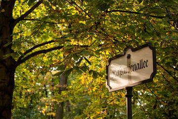 Autumn in the Tiergarten park in Berlin
