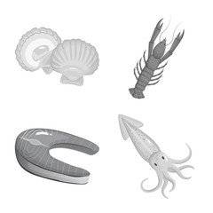 Vector design of seafood and healthy logo. Set of seafood and ocean vector icon for stock.