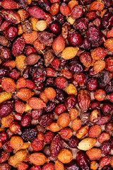 Background Dry Dog Rose Top View Background Image Vertical