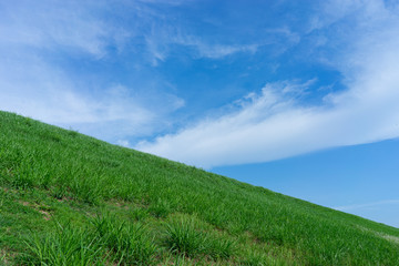 Fototapeta premium Green field hill and blue sky