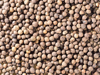 Background from Allspice (Jamaica pepper). Macro photo